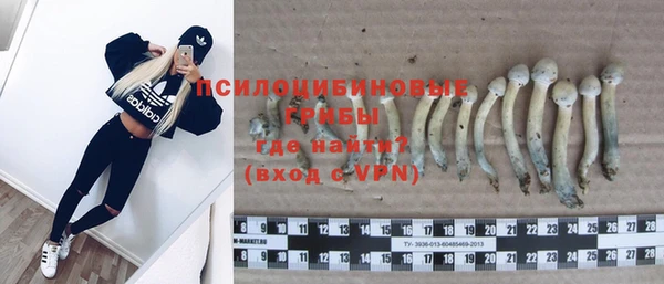 Альфа ПВП Нефтекумск