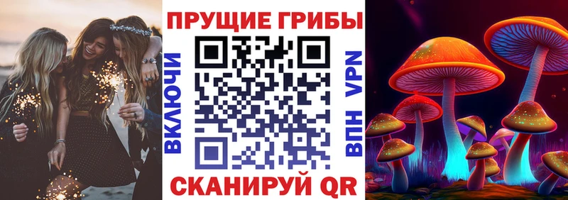 Псилоцибиновые грибы Magic Shrooms Нариманов